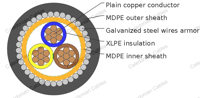 TR2161-Armoured Energy Cable